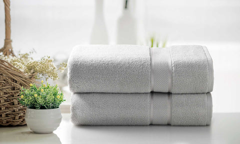 Kathy Ireland 2 Piece Zero Twist Cotton Plush Bath Sheet Set