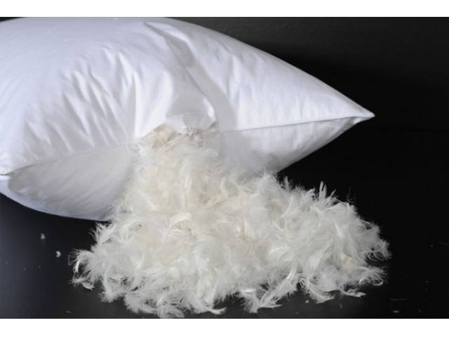 2 Pack Feather Cotton Pillow Set. - Smartmarts